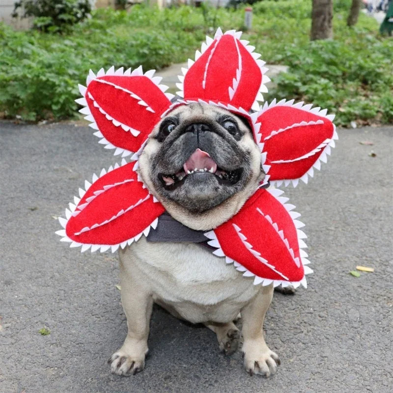 StrangerPets - Demogorgon Flower Costume