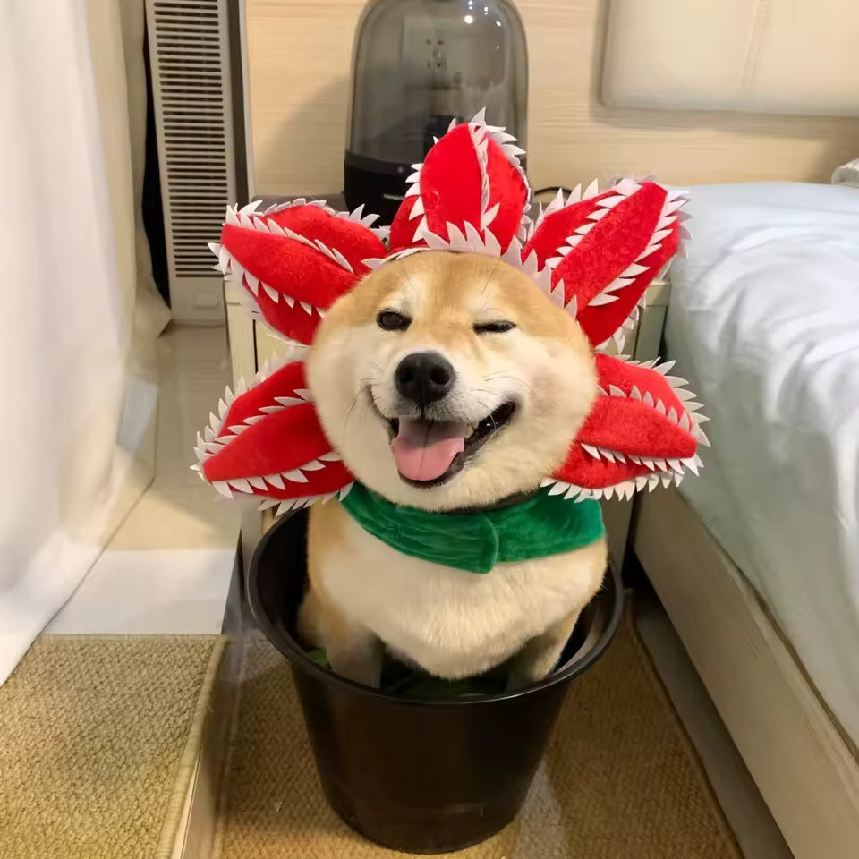 StrangerPets - Demogorgon Flower Costume