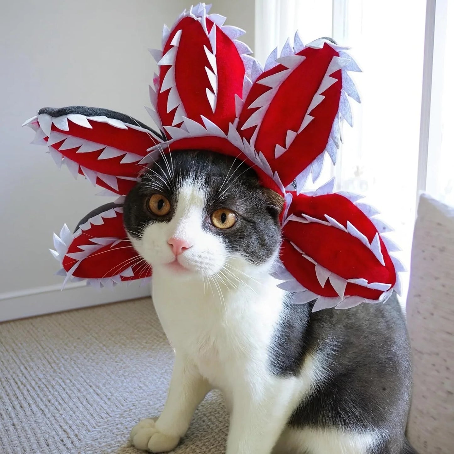 StrangerPets - Demogorgon Flower Costume